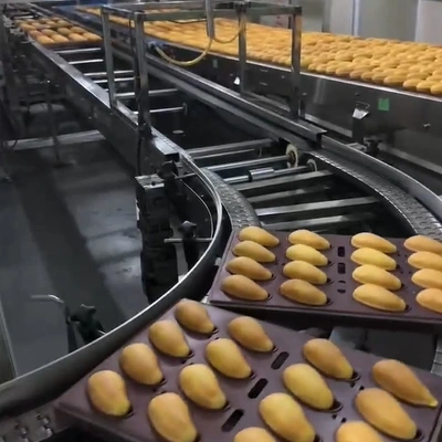 Industrial Multi-Mold Baking Trays for Mango Cake